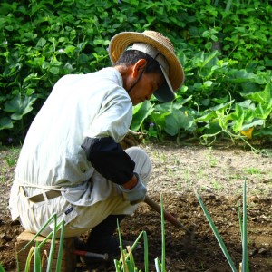 農業・酪農・漁業・水産